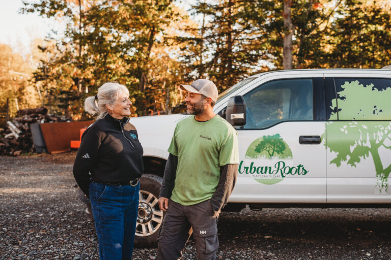 A Partnership business councillor taking to a business owner.